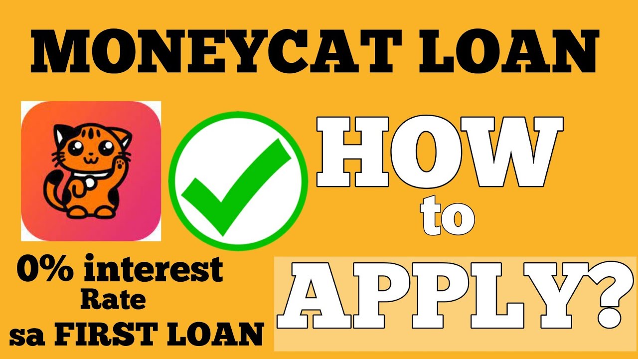 MoneyCat's Online Loans: Get Quick Cash with No Hassle, No Collateral, and No Income Proof Needed
