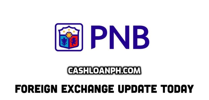 PNB Exchange Rate Today – PNB Forex 24/7 (New update)