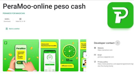 PeraMoo Loan –  Online Peso Cash Loan Provider for Financial Solutions